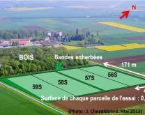 Vue aérienne du dispositif Rés0Pest de Bretenière montrant les 4 parcelles et leur environnement.