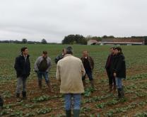 Photo du groupe en Tour de Plaine