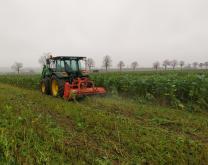 Destruction des couverts végétaux