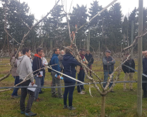 Groupe ferme pêche GRceta 