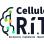 Cellule RIT